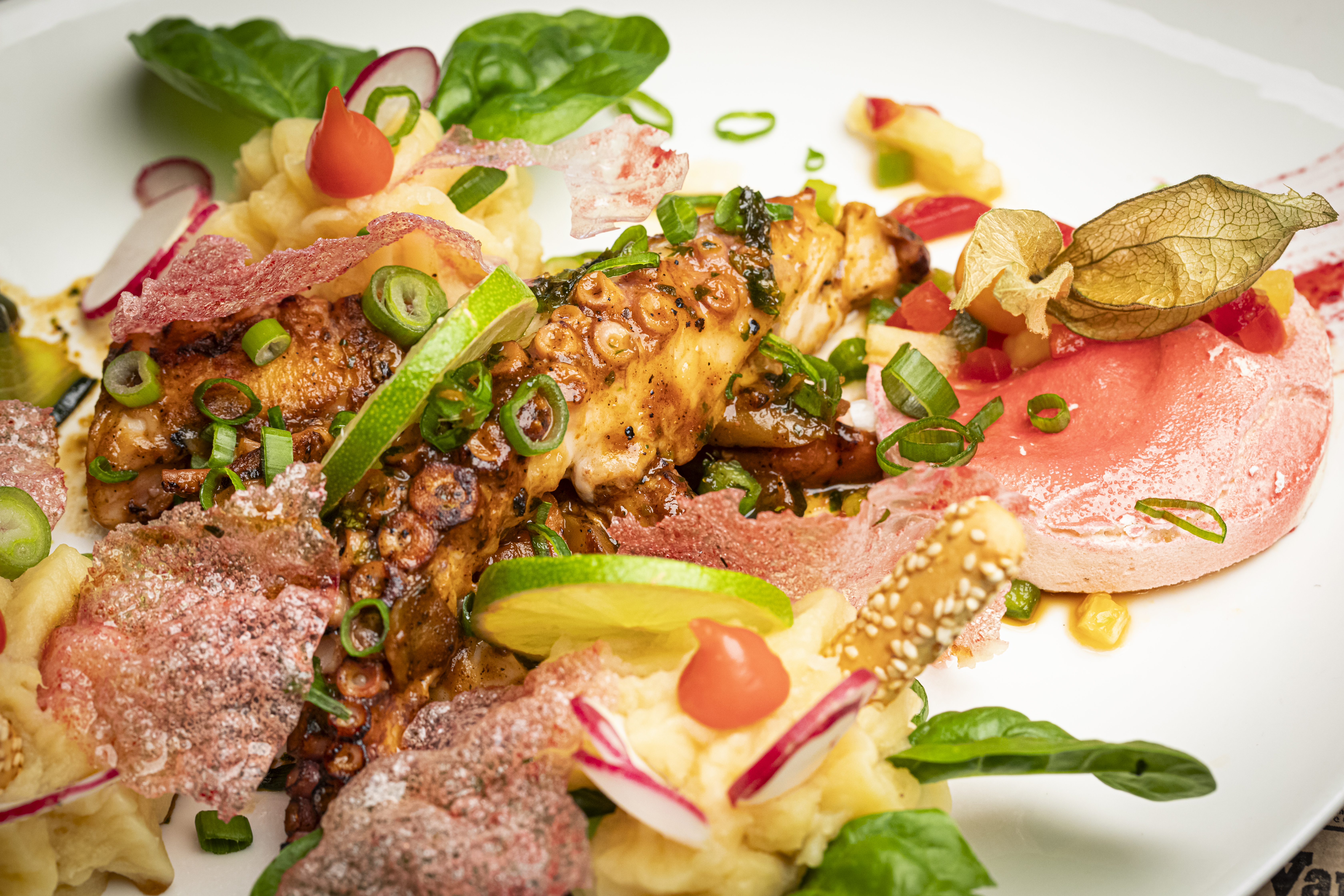 Shooting Photo Culinaire Professionnel - La gravette
